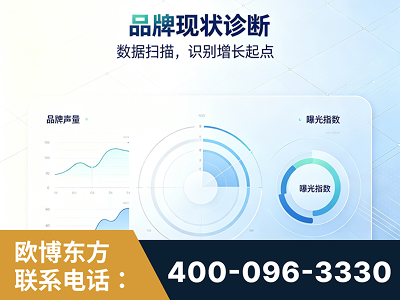 仪征-品牌现状诊断