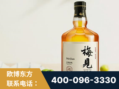 仪征-梅见青梅酒
